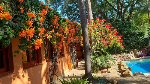 Apartment Virgen del Cerro image 33